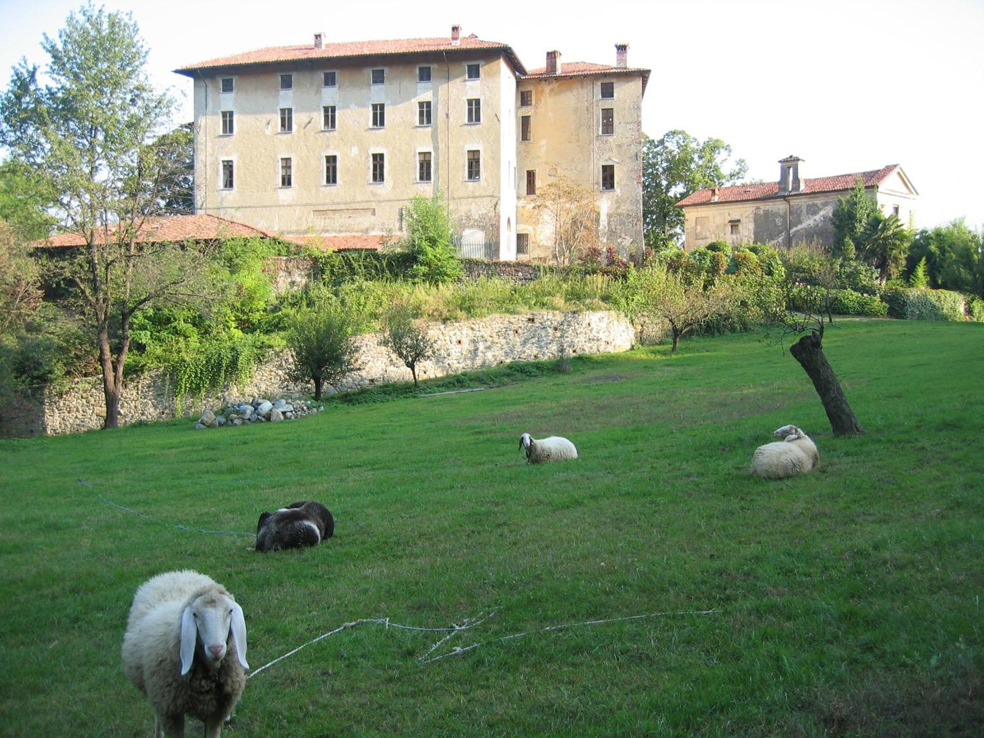 B&B Castello Di Camerletto Caselette ภายนอก รูปภาพ